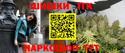 молекула духа Новозыбков