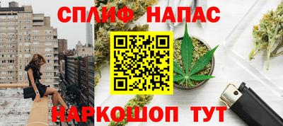 стаф Новодвинск
