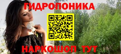 молекула духа Новозыбков