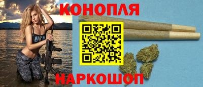 стаф Новодвинск