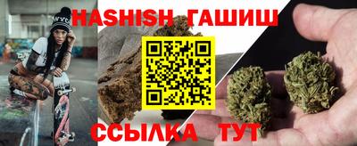стаф Новодвинск