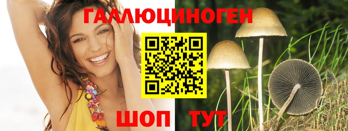 Галлюциногенные грибы GOLDEN TEACHER Дагестанские Огни