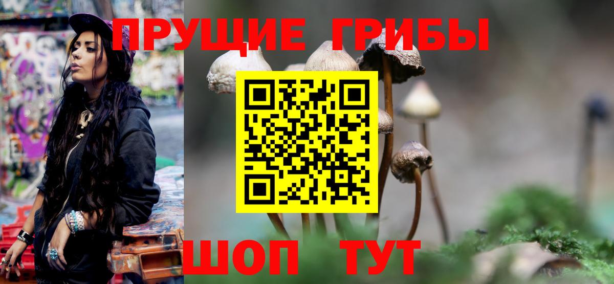 Дагестанские Огни  Псилоцибиновые грибы Psilocybine cubensis  Вход с VPN 